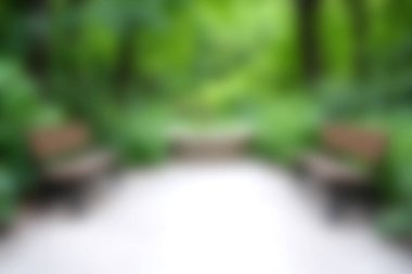 Bereketli yeşillikler ve ahşap banklarla kaplı sakin bir doğa yolu deneyin, rahatlamak için mükemmel ya da sakin bir açık hava ortamında sakin yürüyüşler.