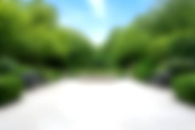 Bereketli yeşillik ve açık mavi gökyüzü ile kaplı sakin bir bahçe yolu keşfedin. Rahatlamak ve doğanın güzelliği için idealdir..