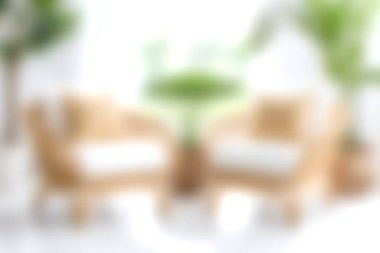 Zarif sandalyelerin ve gür bitkilerin bulunduğu rahat bir oturma alanı, parlak ve davetkar bir atmosfer yaratıyor, rahatlama ve iç tasarım için mükemmel bir ilham kaynağı..