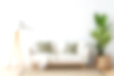 Rahat bir oturma odasında, yastıklarla süslenmiş, canlı bir saksı ve şık bir lambayla tamamlanmış, huzurlu bir ortam yaratan, modern bir kanepe sergileniyor..