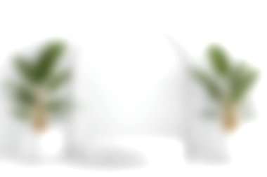 Yumuşak dokular ve yeşillik içeren soyut, bulanık bir arka plan, modern tasarım ve estetik temalar için mükemmel. Dingin alanlar için ideal.