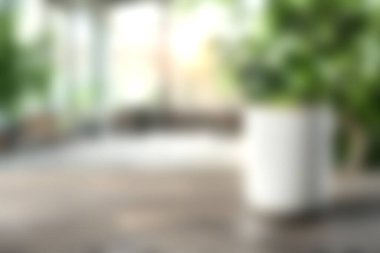 Bu görüntü, parlak ve havadar bir iç mekan, bereketli saksı bitkileri ve doğal ahşap döşemeleri sergiliyor, dinlenmek için sakin ve davetkar bir atmosfer yaratıyor..