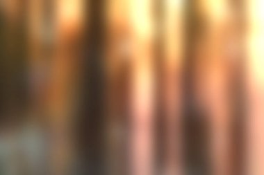 Uzun ağaçların arasından süzülen güneş ışığının çarpıcı bir temsili büyüleyici bir bokeh etkisi yaratıyor. Bu sanat eseri doğanın dingin güzelliğini gün batımında yakalıyor..