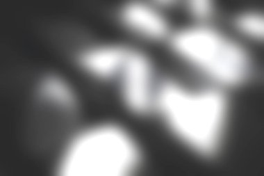 Pürüzsüz kıvrımlar ve gölgelerin yer aldığı soyut bir yüzeye yakından bakmak, tek renkli renklerde ışığın ve formun büyüleyici bir etkileşimini yaratır..