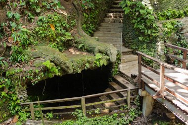 Ubud Kutsal Maymun Ormanı, Bali. Antik Tapınakların 4K Fotoğrafları, Maymunlar Tropikal Orman. Endonezya Seyahat Serisi. Antik Bali tapınaklarının, taş oymalarının ve bereketli tropikal yağmur ormanlarının kutsal atmosferi. Dünyaca ünlü ruhani site.