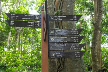 Ubud Kutsal Maymun Ormanı, Bali. Antik Tapınakların 4K Fotoğrafları, Maymunlar Tropikal Orman. Endonezya Seyahat Serisi. Antik Bali tapınaklarının, taş oymalarının ve bereketli tropikal yağmur ormanlarının kutsal atmosferi. Dünyaca ünlü ruhani site.