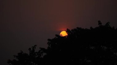 Ormanda gün batımı