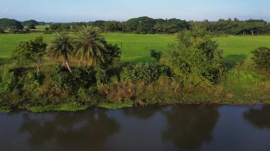 Sabahları nehrin havadan görünüşü.