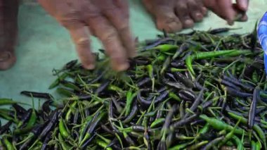 Hintli bir adam yeşil biberi Hint dükkanından almak için kontrol ediyor..