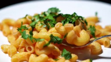 pasta with shrimps in a plate and ready for eating.