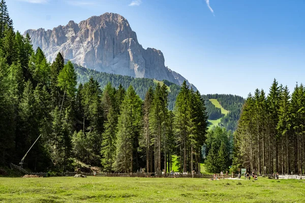 Vallunga, Güney Tyrol 'da Selva di Val Gardena belediyesinden ayrılıp kuzeydoğuya Puez Grubu' na uzanan U şeklinde bir vadidir..