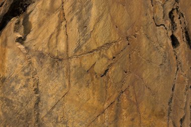 Paleolitik taş oymalar üst Coa Vadisi Arkeoloji Parkı Portekiz