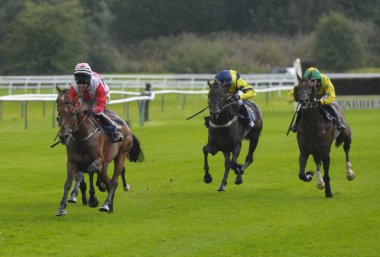 Ulusal Hunt at yarışı Perth İskoçya İngiltere