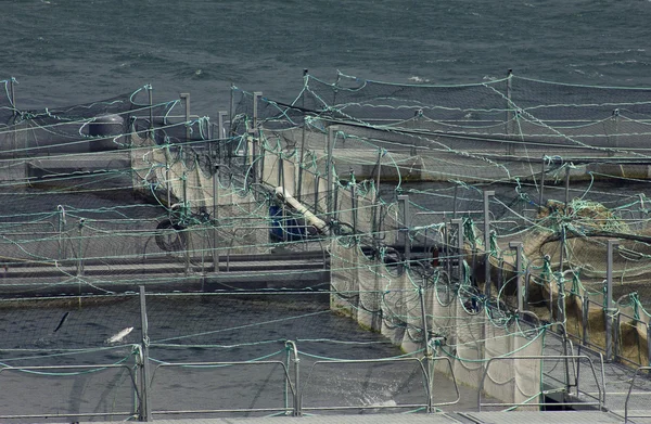 Loch Carnan Salmon Farm and Smokery on the Isle of South Uist Scotland UK