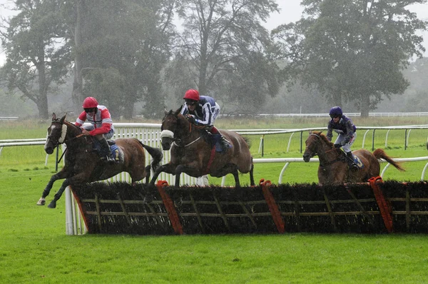 National Hunt Lóverseny Perth Scotland Uk — Stock Fotó