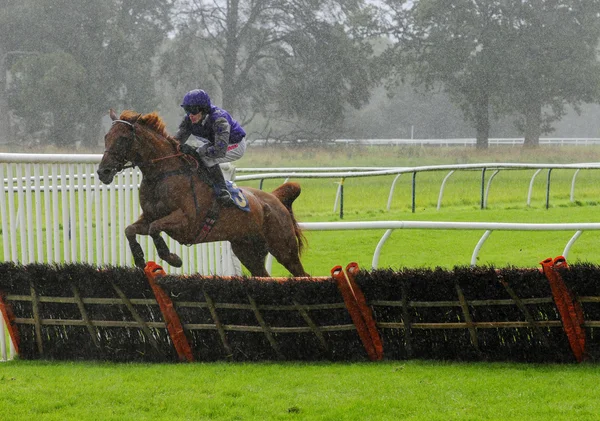 国立ハント競馬イギリス、スコットランド、パース — ストック写真