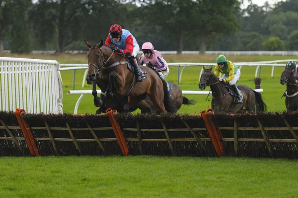 国立ハント競馬イギリス、スコットランド、パース — ストック写真