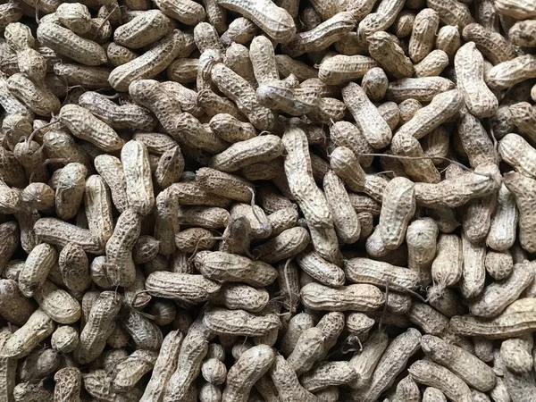 Kurumuş ve soyulmamış fıstık yığınını kapat.