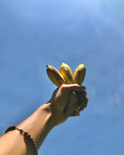 Bir el, bir avuç olgunlaşmış muzu açık mavi gökyüzüne doğru kaldırıyor..