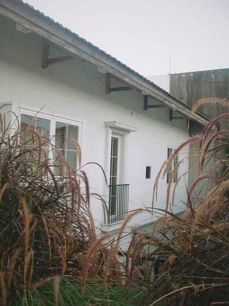 Şehrin modern binası