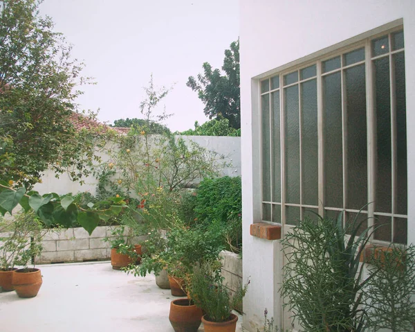 Evin güzel manzarası.