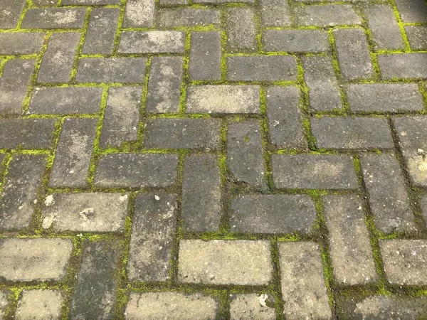Asfalt zemin, kaldırım taşları, kaldırım taşları, kaldırım taşları.