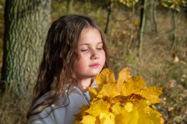 Genç bir kız elinde bir demet sarı yaprak tutuyor. Yapraklar etrafına saçılmış ve sonbahar mevsiminin tadını çıkarıyor. Sıcaklık ve mutluluk kavramı