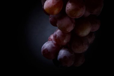 Kırmızı üzümlerin makro görüntüsü kontrol altındaki ışıkta siyah bir arkaplanda asılı duruyor. Güzel sanatlar, natürmort, sağlık, tat ve doğal tazeliği simgeler..