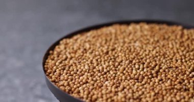 Makro, kişniş tohumlarının eğim kayması bulanıklığıyla yavaşça döndüğünü gösteren videoyu kapat. Sıcak toprak tonları ve detaylı baharat dokusu temiz organik arkaplan oluşturur.