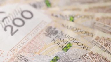 Birkaç yüz zloti banknotun dönüşümlü bir makro görünümü birbirine yakın dizilmiş, ince basılı dokuları ve yüzeysel ayrıntıları pürüzsüz bir döngü içinde gösterir.