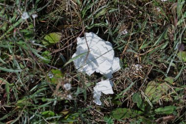 Kırışmış beyaz kağıt mendil, açık havada yeşil çimenleri kirletiyor.