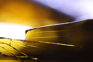 Şarap şişesinden kırık cam. Yüksek kalite fotoğraf