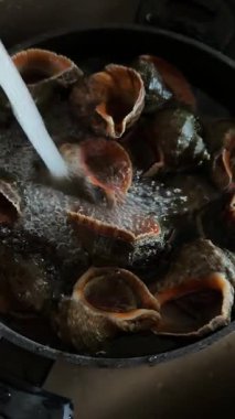 Taze rapanalar tencereye konur ve yemek pişirmek için suyla kaplanırlar. Yüksek kaliteli FullHD görüntüler