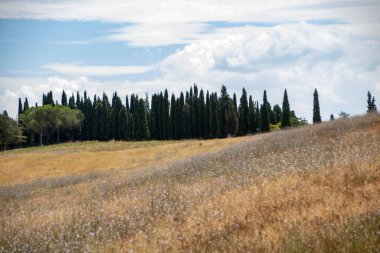 San Quirico d 'Orcia - İtalya - Ağustos 2020 - Toskana kırsalının manzarası
