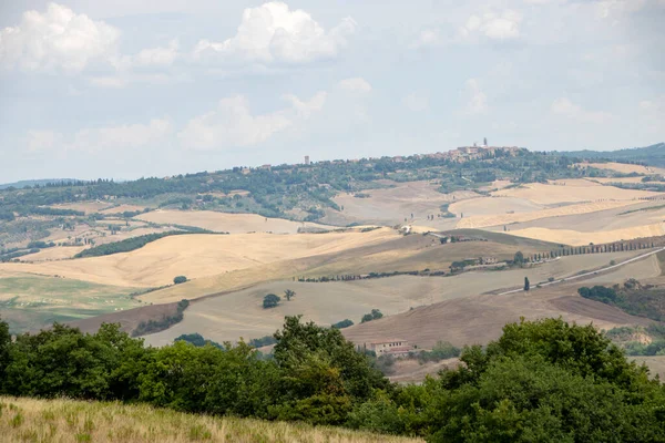 San Quirico Orcia Italia Agosto 2020 Paesaggio Della Campagna Toscana — Foto Stock