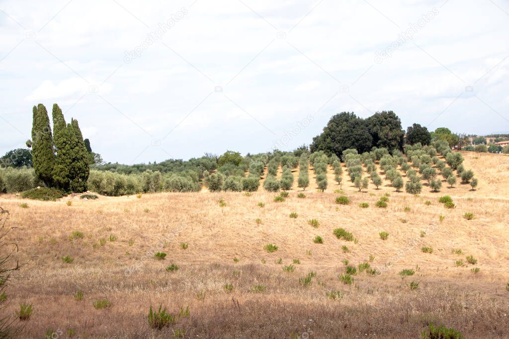 At San Quirico d'Orcia - Italy - On august 2020 -  landscape of tuscan countryside