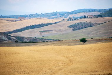 San Quirico d 'Orcia' da - İtalya - Ağustos 2020 - Toskana kırsalının manzarası