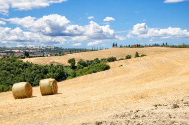 San Quirico d 'Orcia' da - İtalya - Ağustos 2020 - Toskana kırsalının manzarası