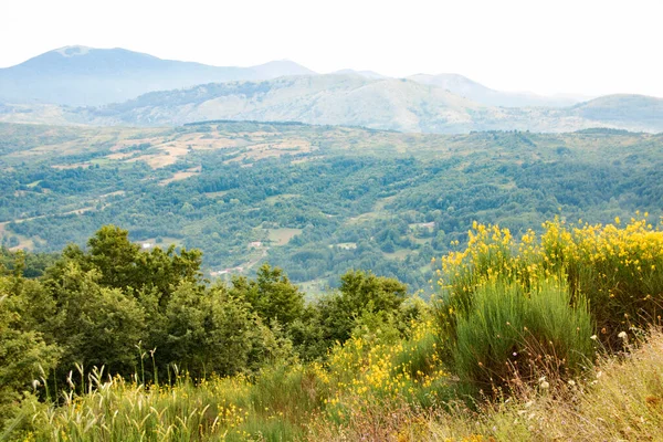 Landschaft Des Pollino Nationalparks Basilikata Region Italien — Stockfoto