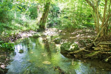 Peschiera seli Bosco Magnano ormanında, Pollino ulusal parkında, Basilicata ve Calabria 'da geniş bir doğal rezerv, İtalya bölgelerinde