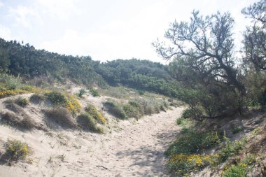 Torre Guaceto, Brindisi, Apulia bölgesinin kuzeyinde korunan deniz rezervi ve doğa parkı, İtalya