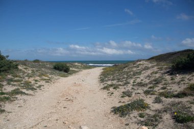 Torre Guaceto, Brindisi, Apulia bölgesinin kuzeyinde korunan deniz rezervi ve doğa parkı, İtalya