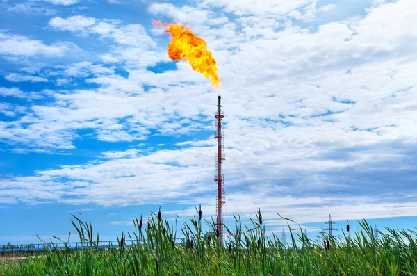 Quemadura de gas en el campo — Foto de Stock