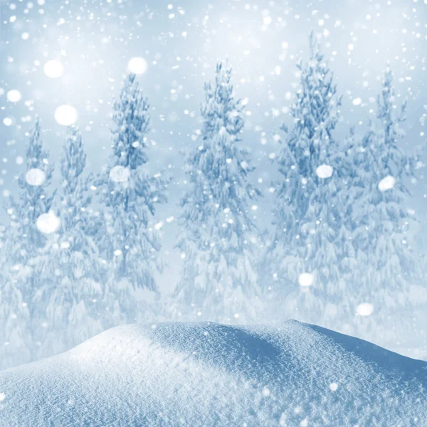 Winter festive background — Zdjęcie stockowe