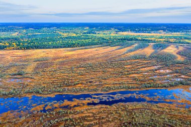 Sonbahar manzarası. Batı Sibirya Ovası. Hava görüntüsü. Sonsuz ormanlar ve Sibirya bataklıkları.