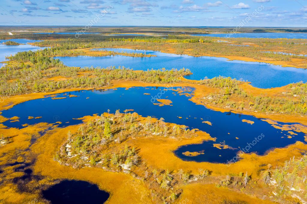 Paisaje de otoño. Llanura de Siberia Occidental. Vista aérea. Bosques y