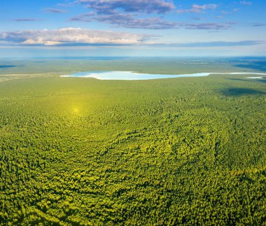 Yaz manzarası. Batan güneşin ışınlarında yoğun kozalaklı ormanın hava fotoğrafçılığı