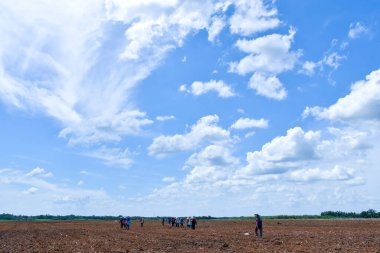 Bir grup çiftçi, Endonezya, Lampung 'da açık mavi gökyüzü altında büyük bir tropikal tarım arazisinde birlikte çalışıyorlar. Güneydoğu Asya 'da takım çalışması, tarım ve kırsal yaşam tarzı kavramı.
