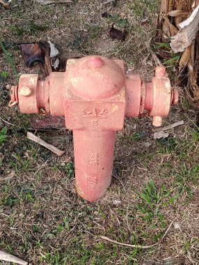 Çimenli arazide paslı kırmızı yangın musluğu ve etrafında yapraklar.