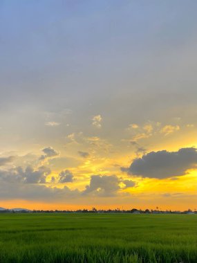 Parlak bir günbatımı gökyüzünün altında bulutlu yeşil bir tarlaya sahip huzurlu bir manzara..